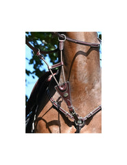 Jumpin Elastic Martingale for Breastplate