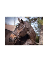 Jumpin Friday Bridle - Week Collection