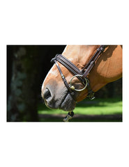 Jumpin Friday Bridle - Week Collection
