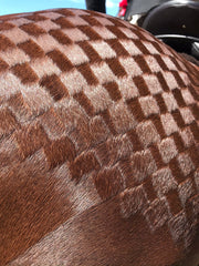 Hairy Pony Quarter Mark Horse Spray