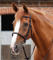 PEI Mossimo Cavesson Bridle