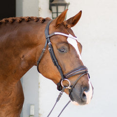 Lumiere 'Amie' Rolled Leather Bridle (Hanoverian) (Includes Reins)