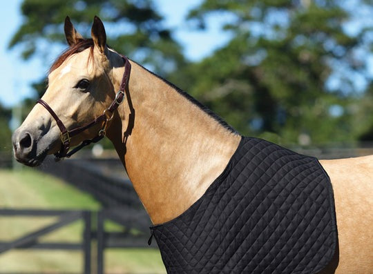 Showmaster Economy Quilted Rug Bib
