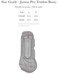 LeMieux Junior Pro Tendon Boots