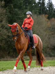 Lemieux Loire Classic Dressage Square