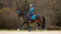 Lemieux Loire Memory Dressage Square