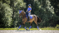 Lemieux Suede Dressage Square