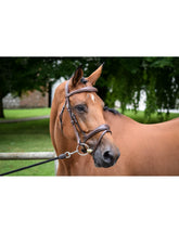 Jumpin Bruxelles Bridle - One Collection