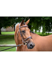 Jumpin Bruxelles Bridle - One Collection
