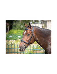 Jumpin Bruxelles Bridle - One Collection