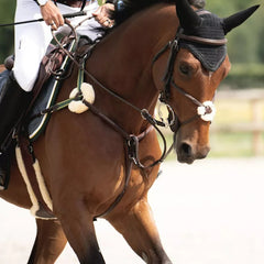 Devoucoux Chiberta Kolibri 5-point Breastplate