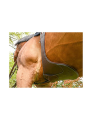 Jumpin SAFETY Elastic Stud Girth - One Collection