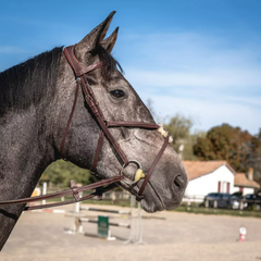 Devoucoux Figure 8 Noseband Bridle