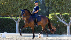 Lemieux Le Cool Grip Dressage Pad