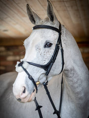 LeMieux Kudos Grackle Bridle