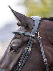 LeMieux Kudos Work Bridle