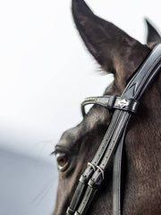 LeMieux Kudos Classic Dressage Bridle