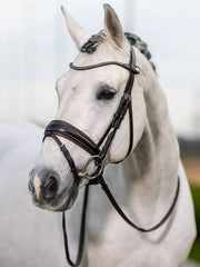 LeMieux Kudos Classic Dressage Bridle