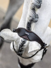 LeMieux Kudos Classic Dressage Bridle