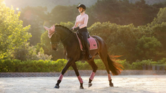 Lemieux Loire Classic Dressage Square SS25