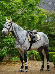 LeMieux Suede GP Square SS25