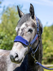 Lemieux Vogue Headcollar & Leadrope