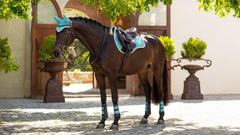 LeMieux Suede GP Square SS25