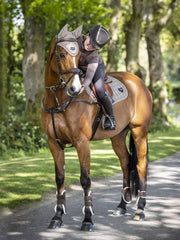 Lemieux Loire Fly Hood