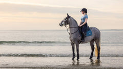 Lemieux Earth Close Contact Square