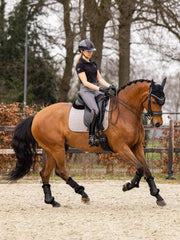 Lemieux Dressage Cotton Square