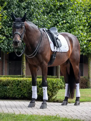LeMieux Loire Dressage Square