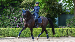 Lemieux Loire Classic Dressage Square
