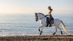 Lemieux Earth Fly Hood