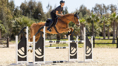 LeMieux Suede EuroJump Square