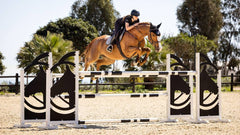 Lemieux Suede EuroJump Square