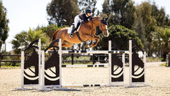 Lemieux Classic Jump Square