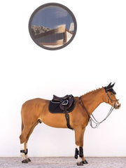 Lemieux Classic Jump Square