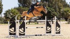 Lemieux Classic Jump Square