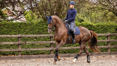 Lemieux Soft Shell Anti Slip Dressage Square