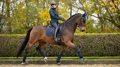 Lemieux Soft Shell Anti Slip Dressage Square