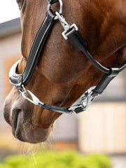 Lemieux Leather Grooming Headcollar
