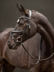 LeMieux Arika Grackle Bridle