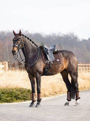 Lemieux Puissance Suede Dressage Square