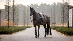 Lemieux Puissance Suede Dressage Square