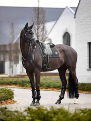 Lemieux Puissance Suede Dressage Square