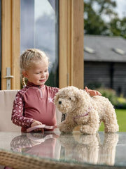 Lemieux Toy Puppy Chester