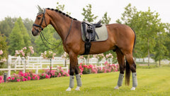 Lemieux Suede Dressage Square