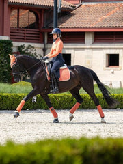 Lemieux Suede Dressage Square