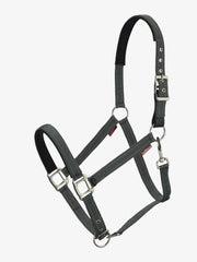 Lemieux Essential Yard Headcollar