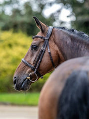 LeMieux Arika Cavesson Bridle